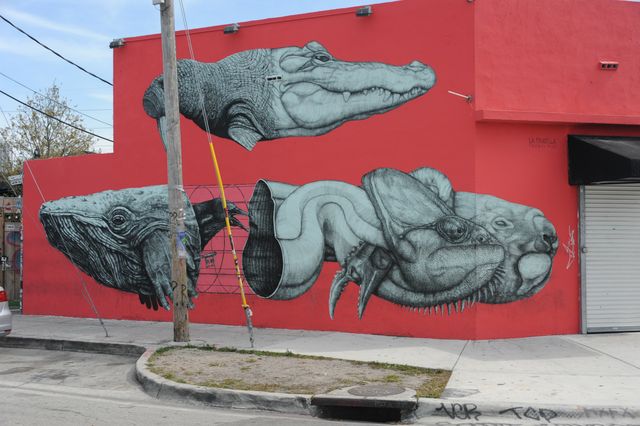 
Miami bloody hell !!!