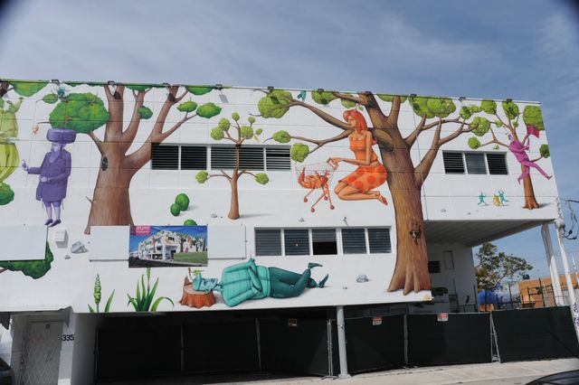 Miami Odd