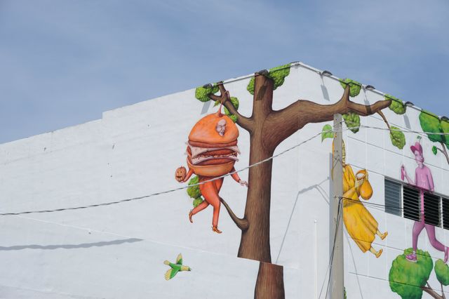 Miami Odd