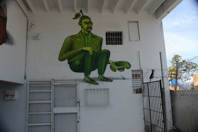 Miami Odd