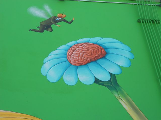 suck my brain.
