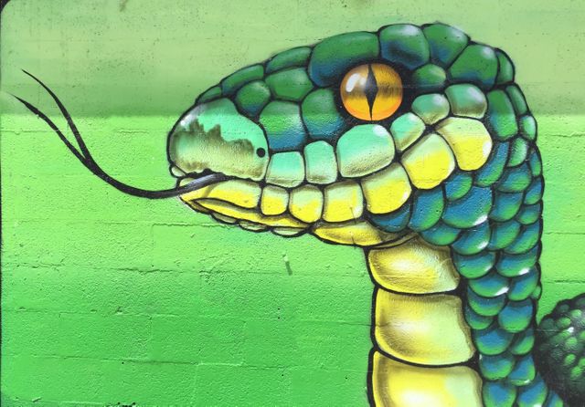 Wynwood