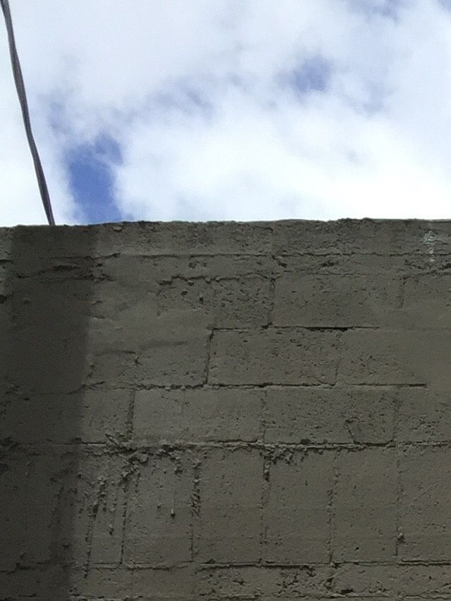 Wynwood