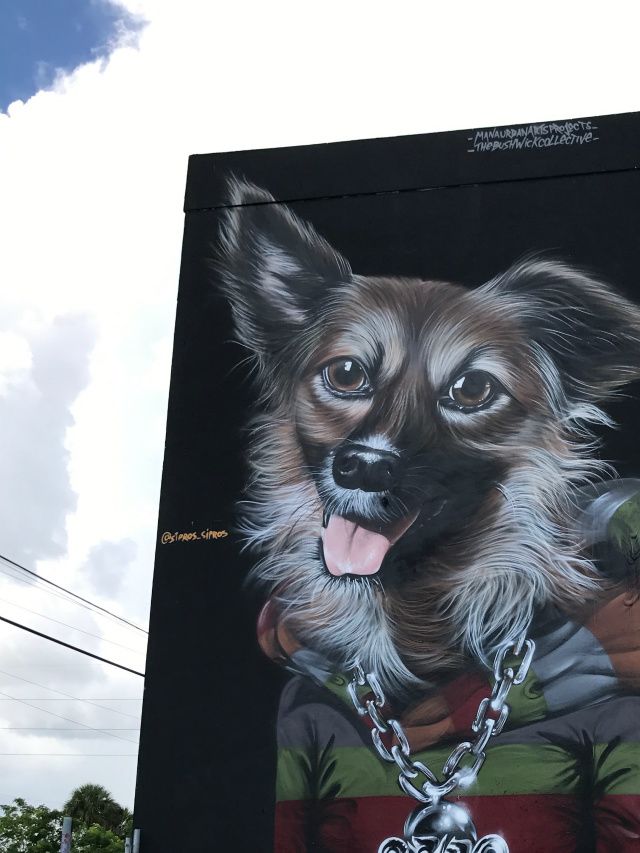 Wynwood Miami, is it not cute ?