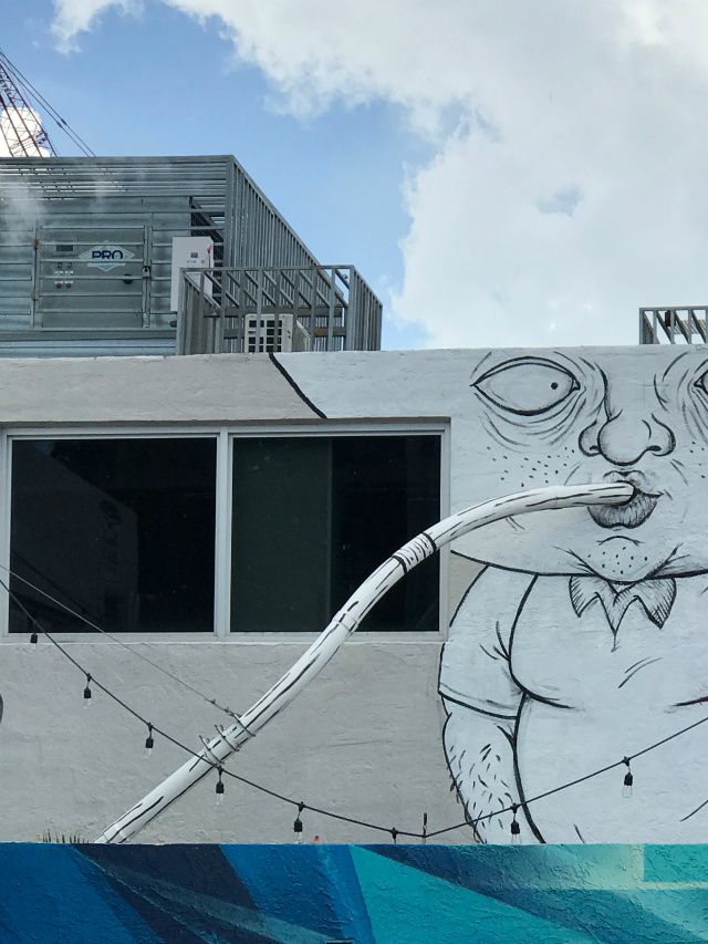 very warm in Miami, look at the cloud, looks like the guy is 