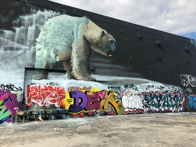 Miami The White Bear