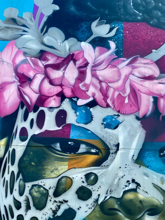 Kobra